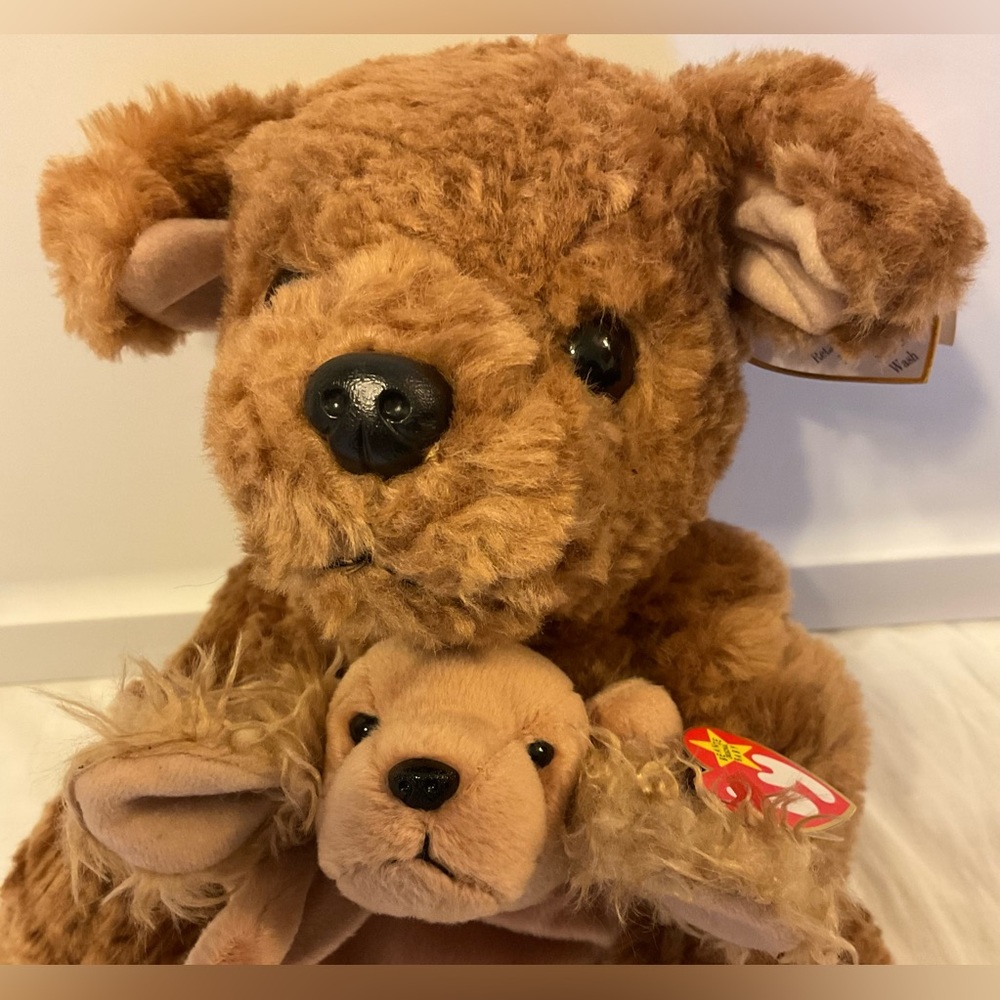 Ty Biscuit plush & Spunky beanie baby pair 🐕